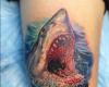 Shark tattoo design