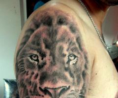 Tattoo de Leon