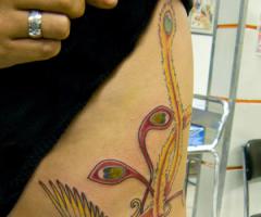 Phoenix tattoos for men and women