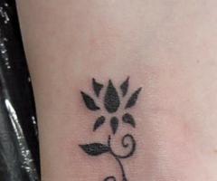 Lotus flower