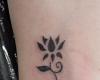 Lotus flower