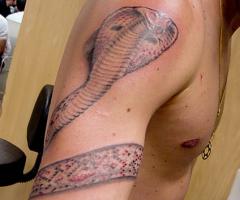 Cobra tattoo for men