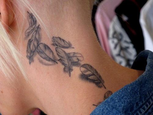 Muchas pequeñas plumas en el cuello