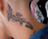 Muchas pequeñas plumas en el cuello