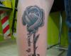 Rosa con frases