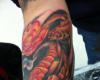Tatuaje de Pez Gato