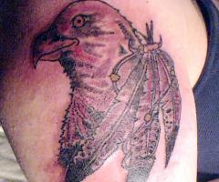 Aguila con plumas