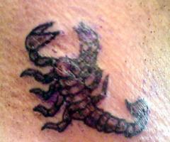 Escorpion en cuello