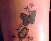 mariposas