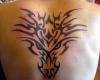 1-tribal espalda terminado