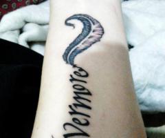 Nevermore and feather
