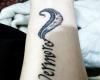 http://www.tattooset.com/images/tattoo/2012/12/12/14039-nevermore-and-feather_tiny.jpg