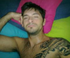 Fenix pecho, espalda y manga