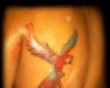 Tatuaje de guacamayo en la espalda