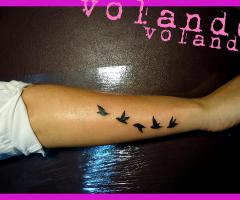 Pajaros volando