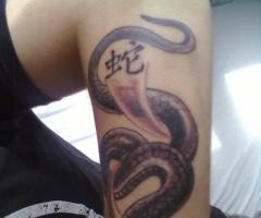 Serpiente China
