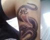 Serpiente China