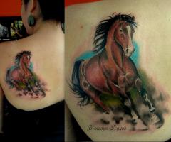 Caballo galopando