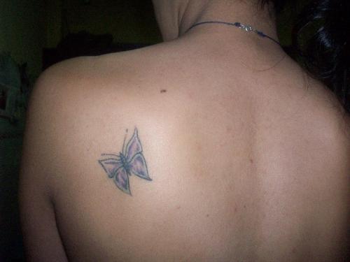 Mariposa rosa y violeta
