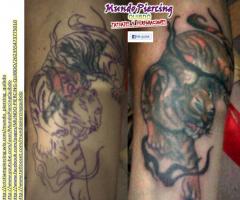 Tigre Dientes de Sable (tapando un tattoo mal hecho)