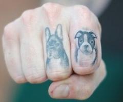 dog