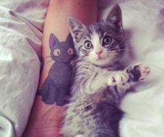 Kitty tattoo