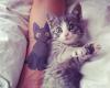 Kitty tattoo