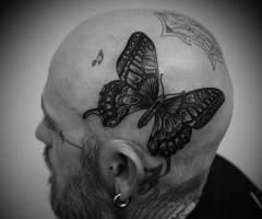 Butterfly on head