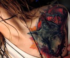 lobo