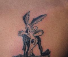 The Road Runner or mig mig