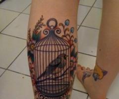 bird cage