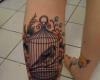 bird cage