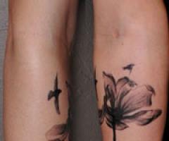 Flowers and birds