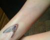 25 Star Trek tattoos pictures