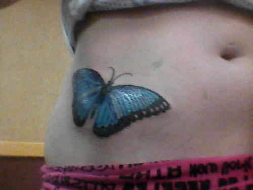 Blue Butterfly
