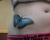 http://www.tattooset.com/images/tattoo/2013/01/15/14955-blue-butterfly_tiny.jpg