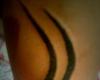 sarawakian tatto design
