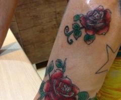 Roses