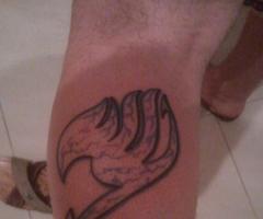 Fairy Tail emblem