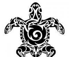 tortuga