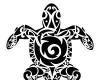 tortuga