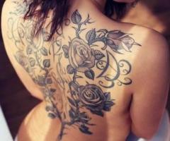 Full back roses