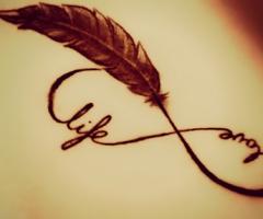 Feather life and love