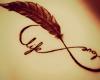 Feather life and love