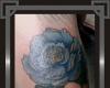 Flor Azul (Blue Flower)