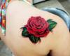 Rosas tatuajes para mujeres