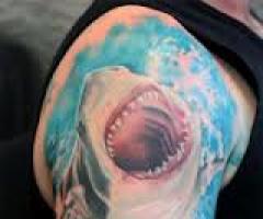 Shark tattoo