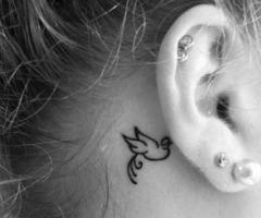 Bird tattoo
