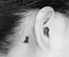 Little cat tattoo