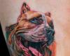 Retrato de Perro Pitbull
